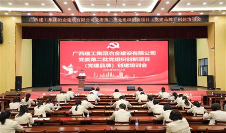 公司黨委召開第二批黨組織創(chuàng)新項(xiàng)目（黨建品牌）創(chuàng)建培訓(xùn)會